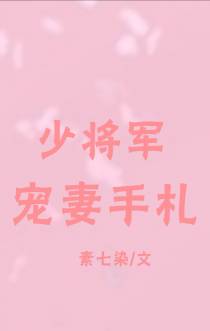 少将军宠妻手札
