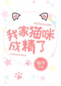 我家喵咪成精了（下）