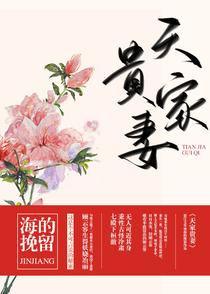 天家贵妻