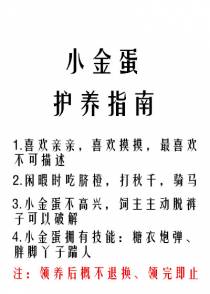 小金蛋护养指南