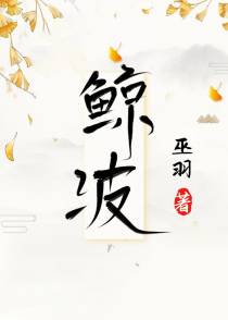 鲸波