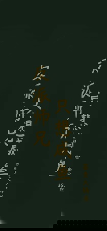 反派师兄只想咸鱼