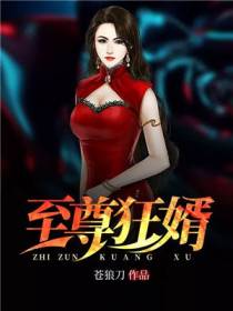 至尊狂婿