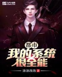 都市：我的系统很全能