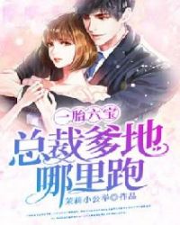 一胎六宝：总裁爹地哪里跑