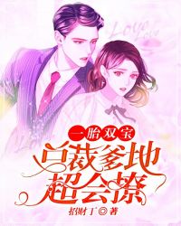 一胎双宝：总裁爹地超会撩