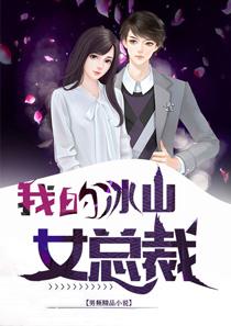 我的冰山女总裁叶帆
