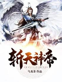 叶云小说