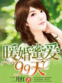 暖婚蜜爱99天