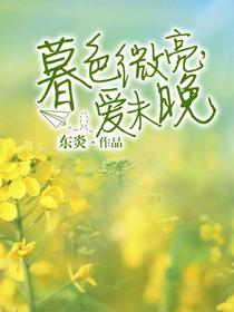 叶未晚霍慕修