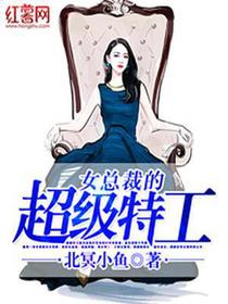 女总裁的超级特工