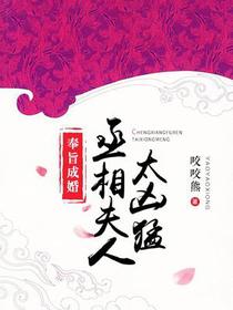 奉旨成婚：丞相夫人太凶猛