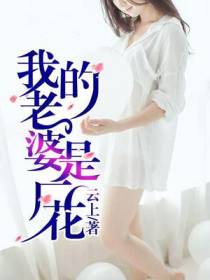 我的老婆是厂花