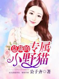 卜锦城齐飞月