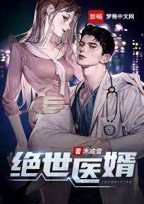 绝世医婿叶北