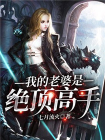 我的老婆是绝顶高手江帆