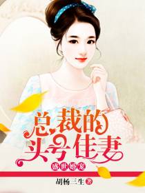 闻人臻顾暖