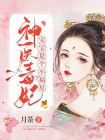 神医毒妃宝宝是个小福星