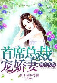 风光大嫁：首席总裁宠娇妻