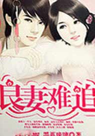 良妻难追