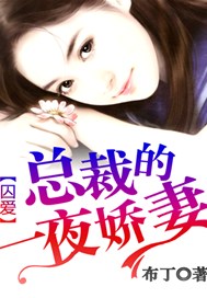 囚爱：总裁的一夜娇妻
