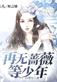 再无蔷薇等少年