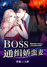 Boss通缉娇蛮妻