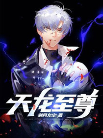 天龙至尊