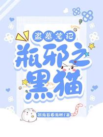 盗墓笔记：瓶邪之黑猫
