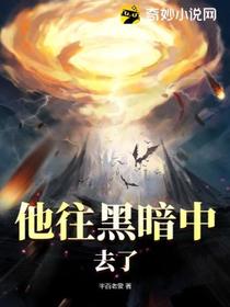 他往黑暗中去了