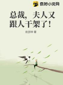 总裁,夫人又跟人干架了！