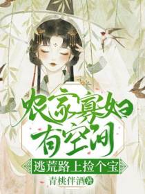 陆柏川何玖娘青桃伴酒