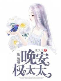 一纸成婚:晚安,权太太
