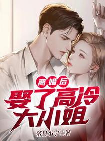离婚后,娶了高冷大小姐