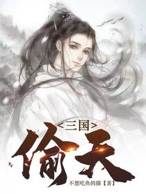 三国：偷天