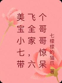 美宝小七带飞全家,六个哥哥惊呆