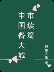 中国各大城市续篇