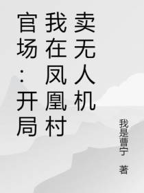 官场：开局我在凤凰村卖无人机