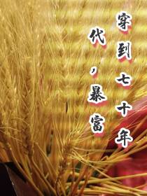穿到七十年代,暴富