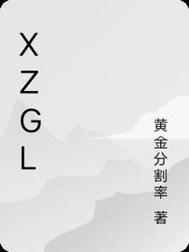 XZGL