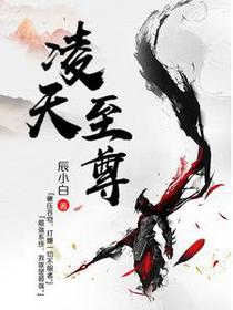 作者辰小白