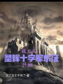 领主,从圣辉十字军东征开始