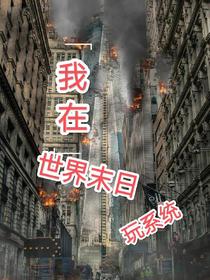 我在世界末日玩系统