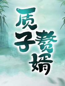 质子赘婿