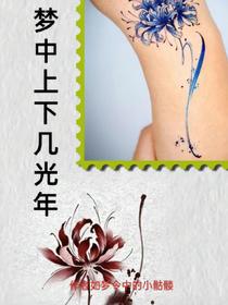 如梦令中的小骷髅的新书