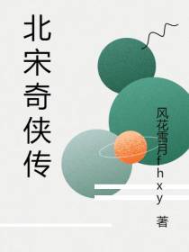 北宋奇侠传