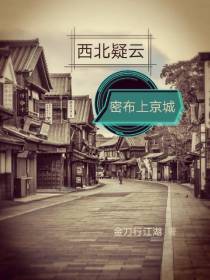 西北疑云密布上京城