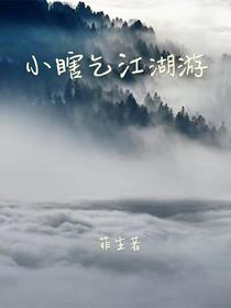 小瞎乞江湖游