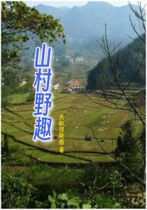 山村野趣