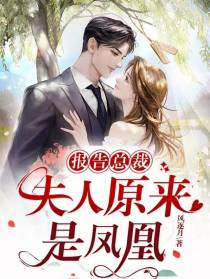 报告总裁,夫人原来是凤凰